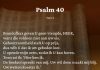Berijming van Psalm 40