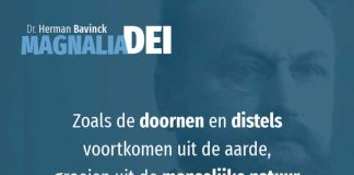 14.2 – Het gemeenschappelijke van alle valse godsdiensten