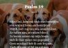 Berijming van Psalm 59