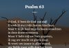 Berijming van Psalm 63