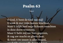 Berijming van Psalm 63