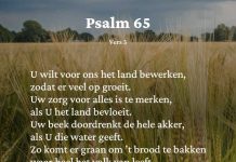 Berijming van Psalm 65