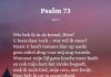 Berijming van Psalm 73