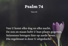 Berijming van Psalm 74