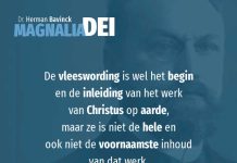 17.1 – Niet Christus’ menswording verzoent, maar zijn lijden en sterven