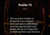 Berijming van Psalm 75