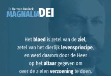 17.8 – Offers in het Oude Testament