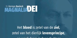 17.8 – Offers in het Oude Testament