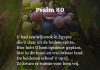 Berijming van Psalm 80