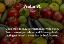 Berijming van Psalm 81