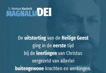 19.3 – Het taalwonder