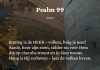 Berijming van Psalm 99