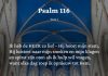 Berijming van Psalm 116
