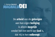 22.4 – Onze heiliging is ook ons werk