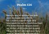 Berijming van Psalm 126