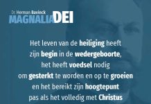 22.8 – De heiliging als groeiproces